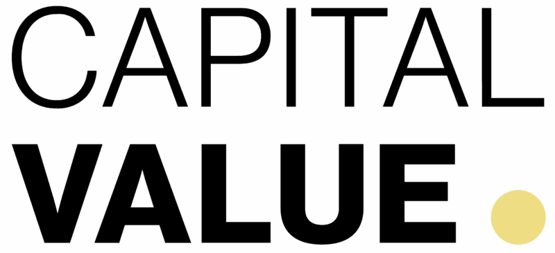 https://meyerwirtz.nl/wp-content/uploads/Capital-Value.png